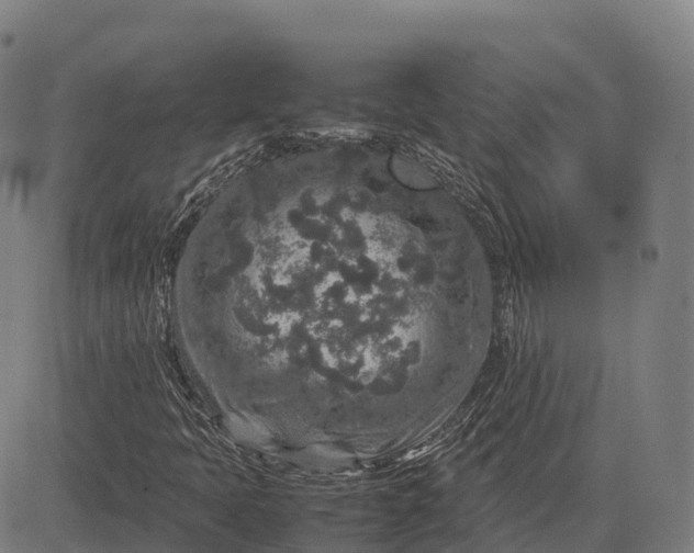 X0000082721397200702091801