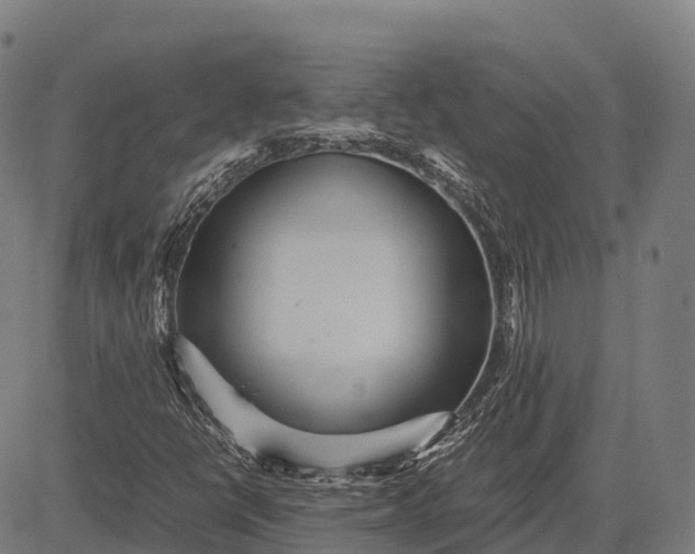 X0000082721398200702091801