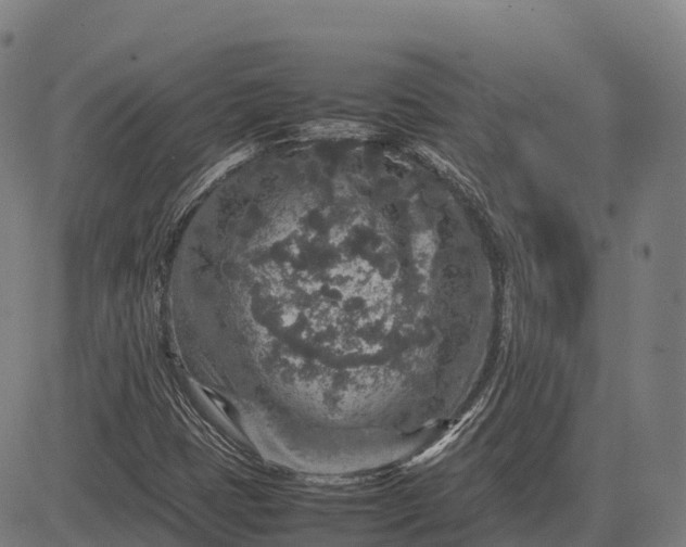 X0000082721401200702091801