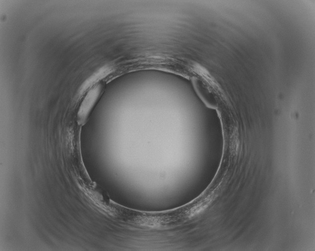 X0000082721402200702091801