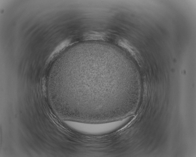 X0000082721403200702091801