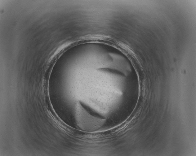 X0000082721404200702091801