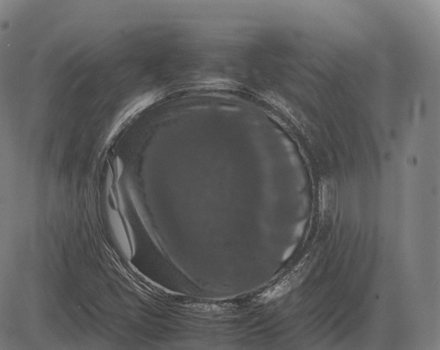 X0000082721405200702091801