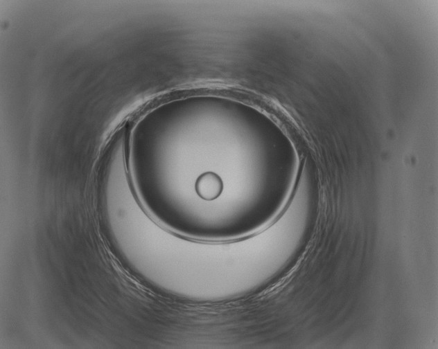 X0000082721406200702091801