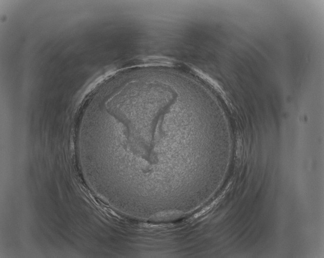 X0000082721407200702091801