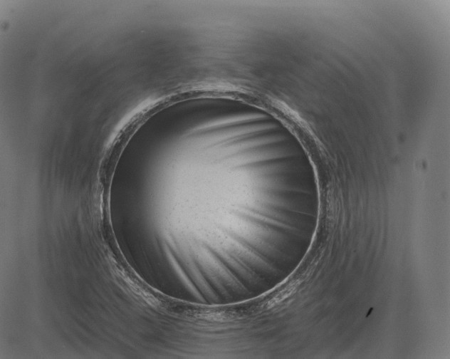 X0000082721408200702091801