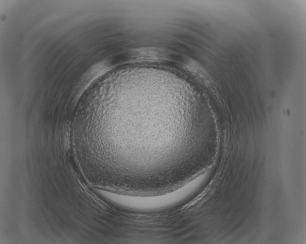 X0000082721409200702091801