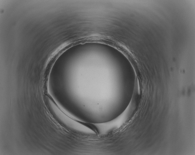 X0000082721410200702091801