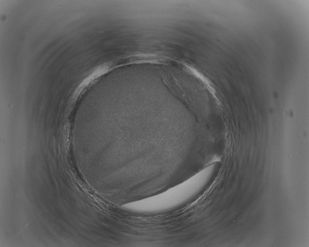 X0000082721411200702091801