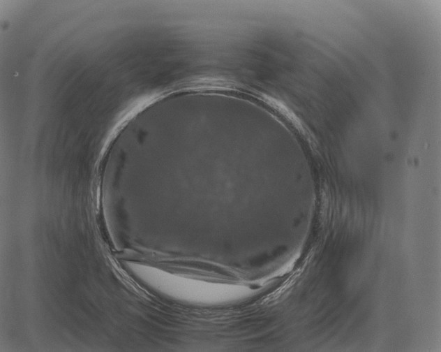 X0000082721413200702091801