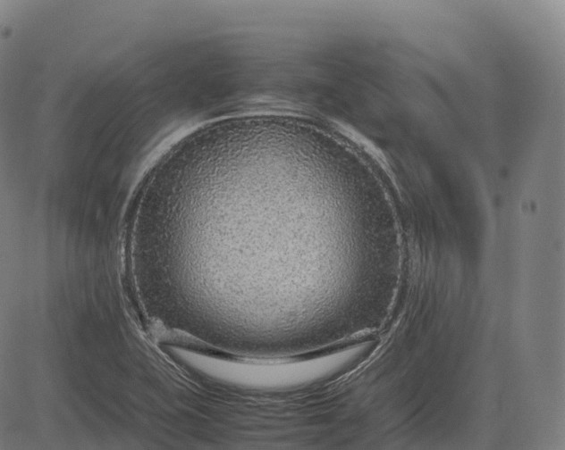 X0000082721415200702091801