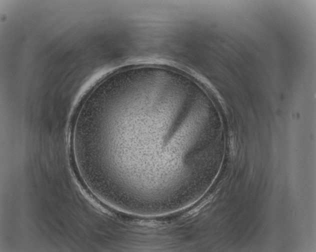 X0000082721416200702091801