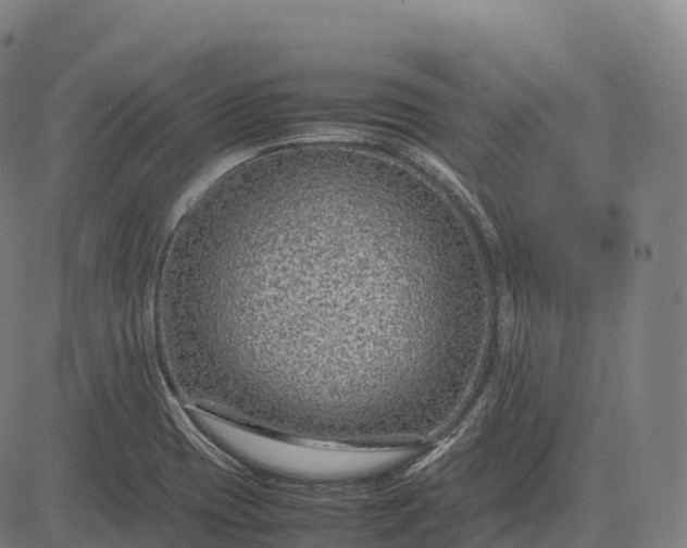 X0000082721417200702091801