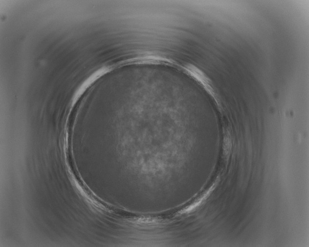 X0000082721418200702091801