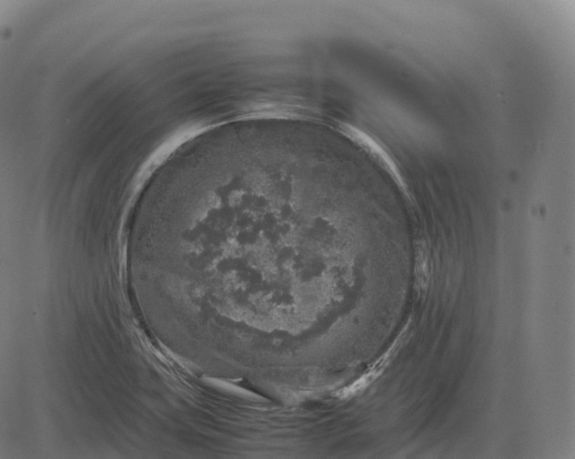 X0000082721419200702091801