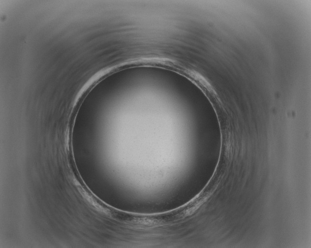 X0000082721420200702091801