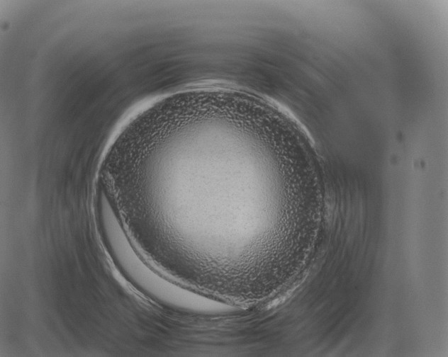 X0000082721421200702091801