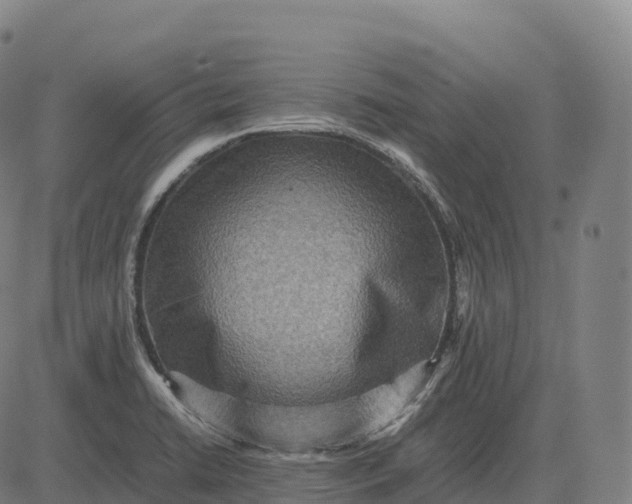 X0000082721422200702091801