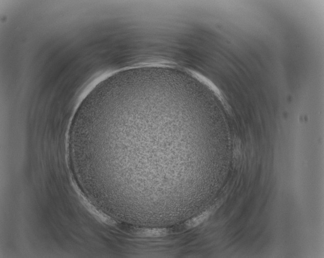 X0000082721423200702091801