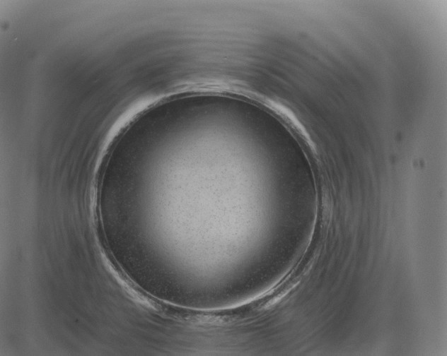 X0000082721424200702091801