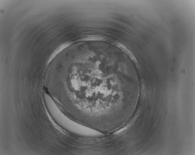 X0000082721425200702091801