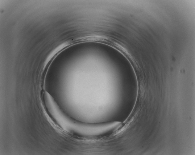 X0000082721426200702091801