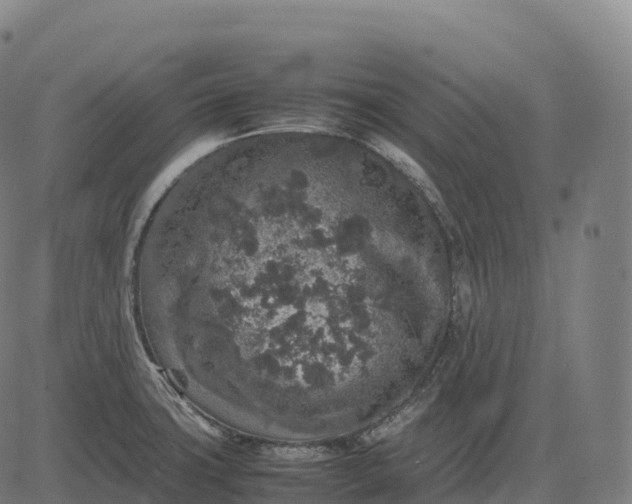 X0000082721427200702091801