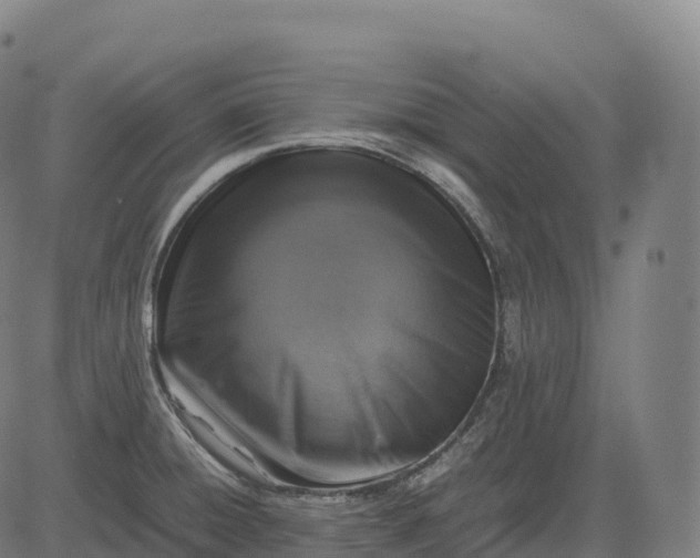 X0000082721428200702091801