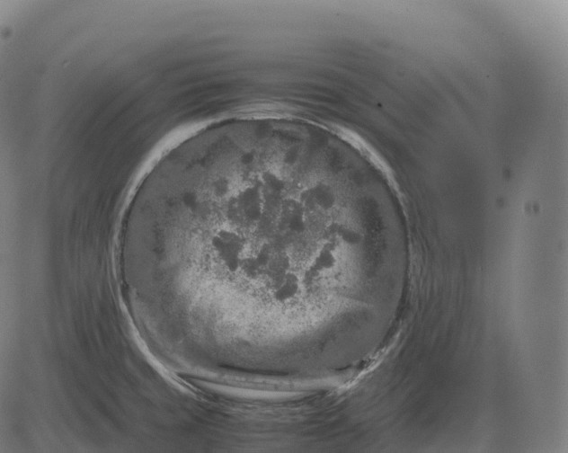 X0000082721429200702091801