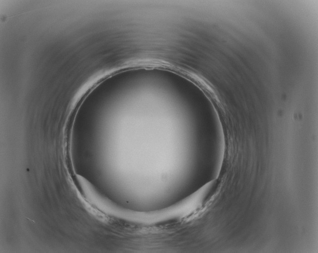 X0000082721430200702091801