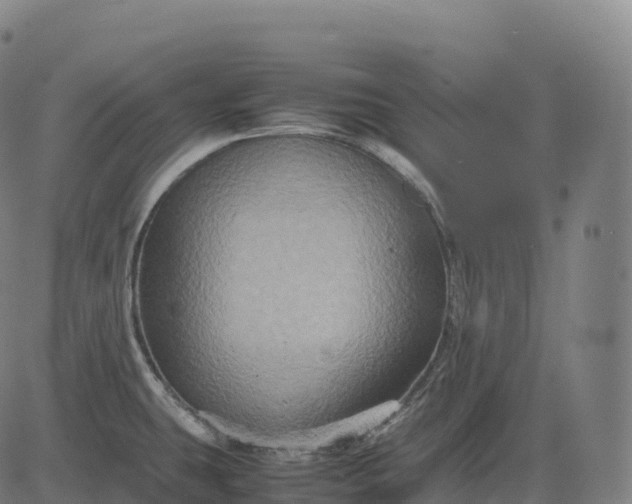 X0000082721431200702091801