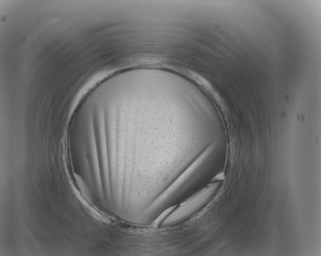 X0000082721432200702091801