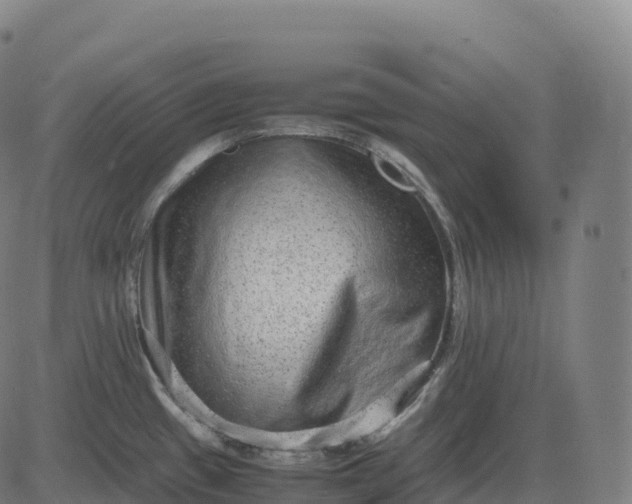 X0000082721433200702091801