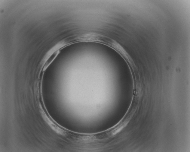 X0000082721434200702091801