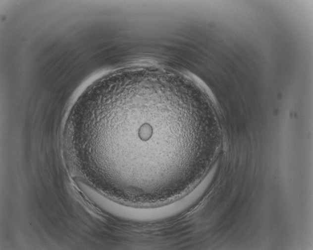 X0000082721435200702091801