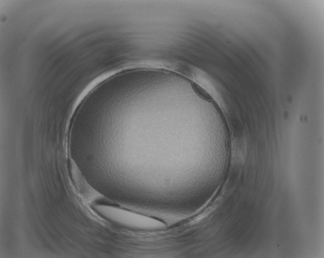 X0000082721436200702091801