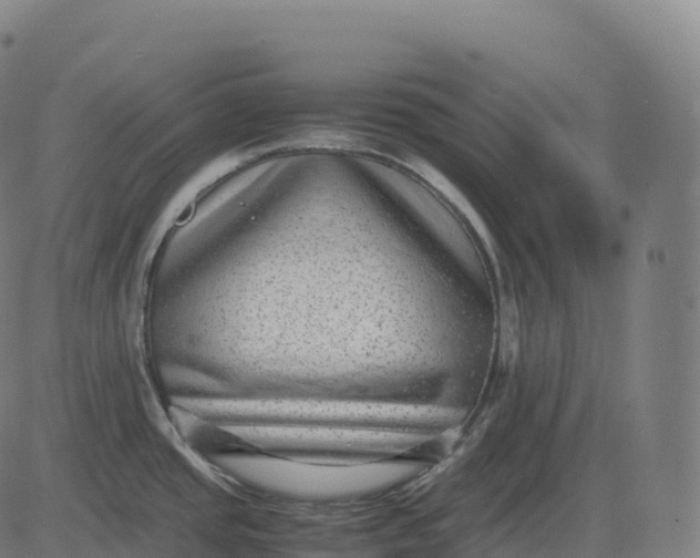 X0000082721437200702091801