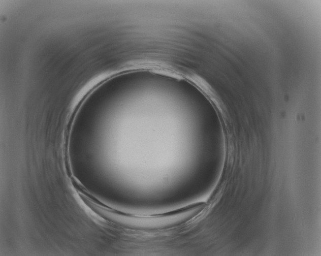 X0000082721438200702091801