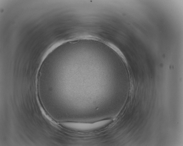 X0000082721439200702091801