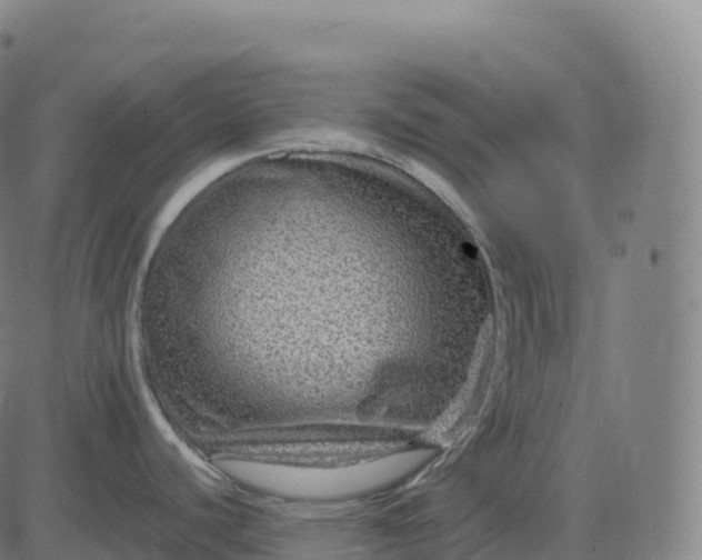 X0000082721440200702091801