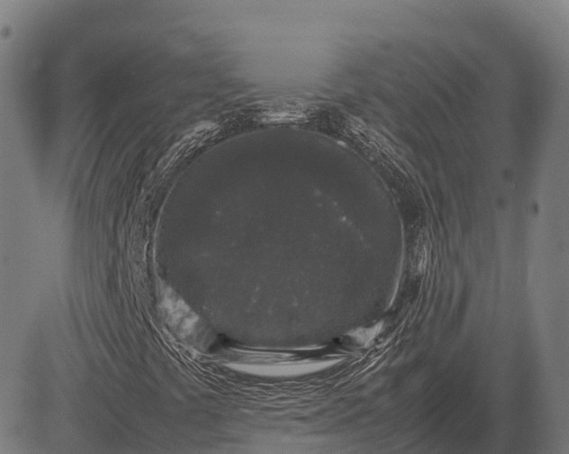 X0000082721441200702091801