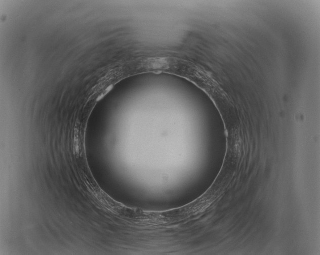 X0000082721442200702091801