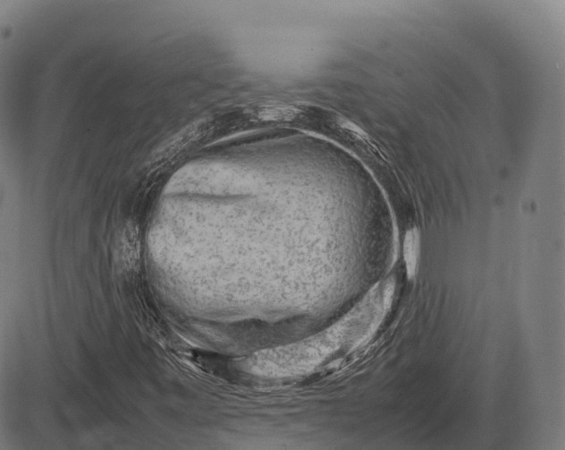 X0000082721443200702091801