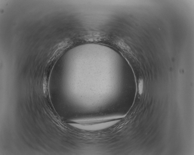 X0000082721444200702091801