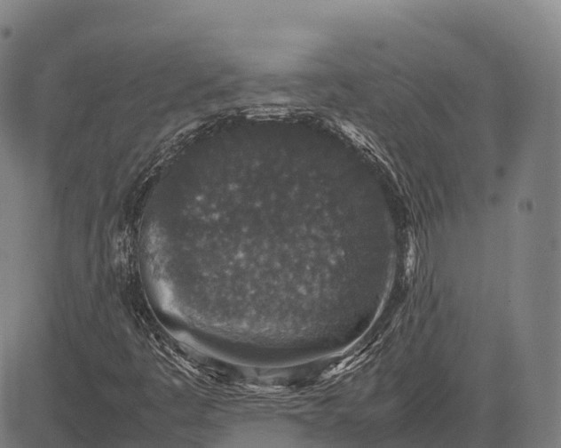 X0000082721445200702091801