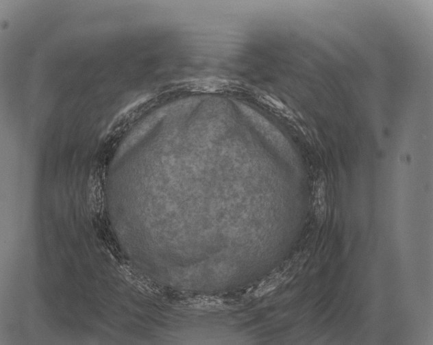 X0000082721446200702091801