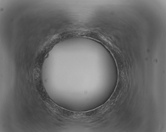 X0000082721447200702091800