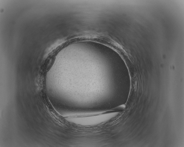 X0000082721448200702091800