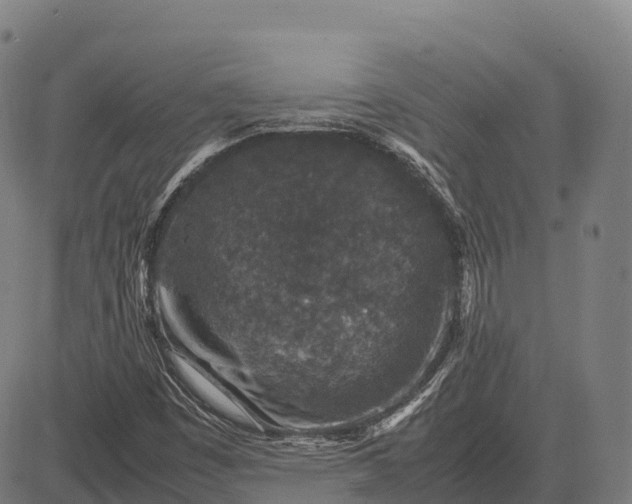 X0000082721449200702091800