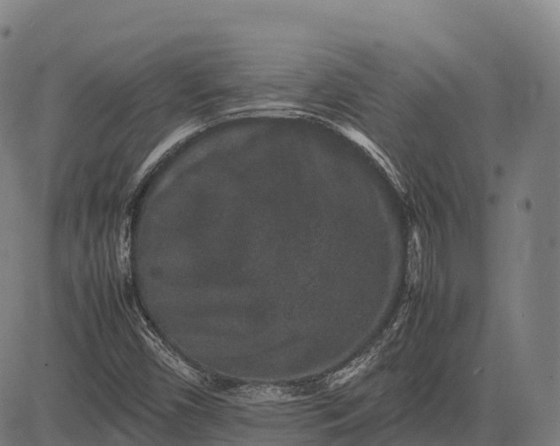 X0000082721450200702091800